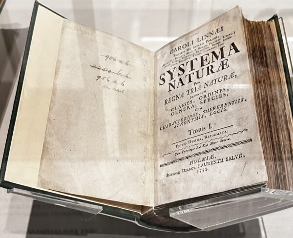 1) Manoscritto sulla natura del 1758. Foto di Vittoria Bacchi.j