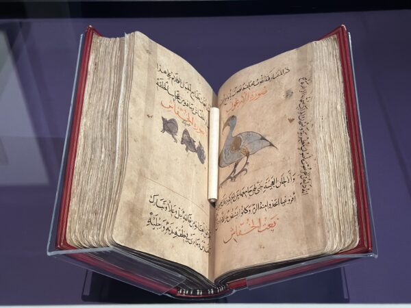12) Antico manoscritto arabo su pipistrelli e uccelli. Foto di Vittoria Bacchi.jpg