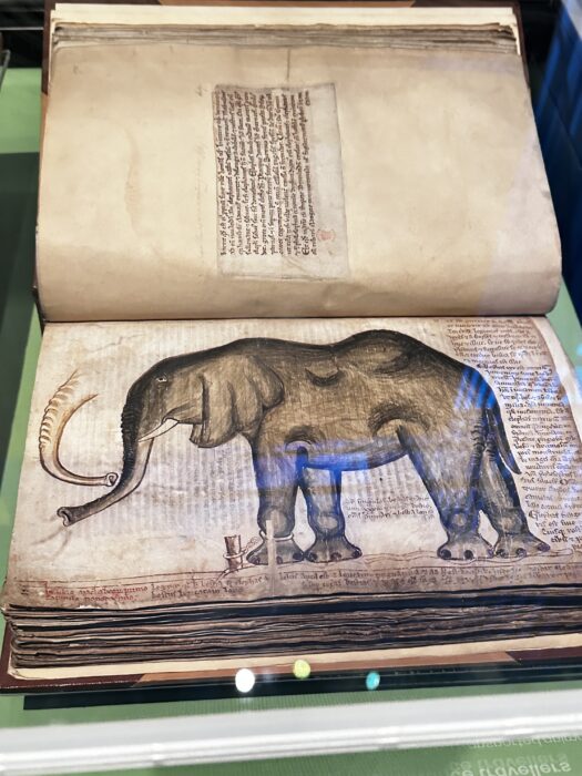 Elefanti.-Antico-manoscritto.-Foto-di-Vittoria-Bacchi